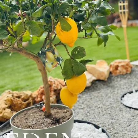 Eden Rock Апартаменты Гримальди