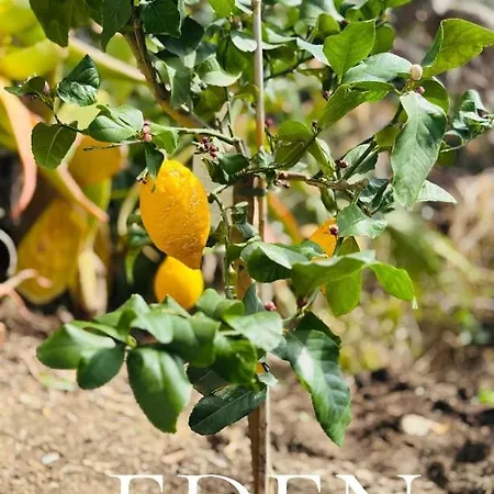 Eden Rock Grimaldi (Liguria)