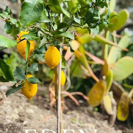 Διαμέρισμα Eden Rock