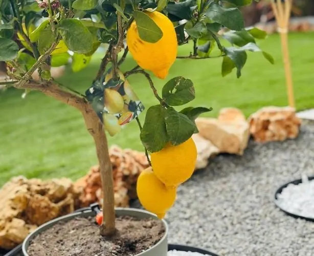 Eden Rock شقة غريمالدي